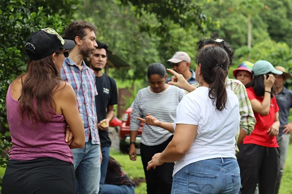 Voluntariado en la finca